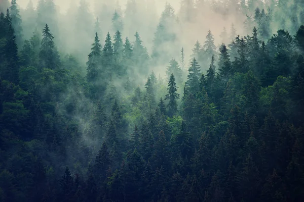 Paesaggio di montagna nebbioso — Foto Stock