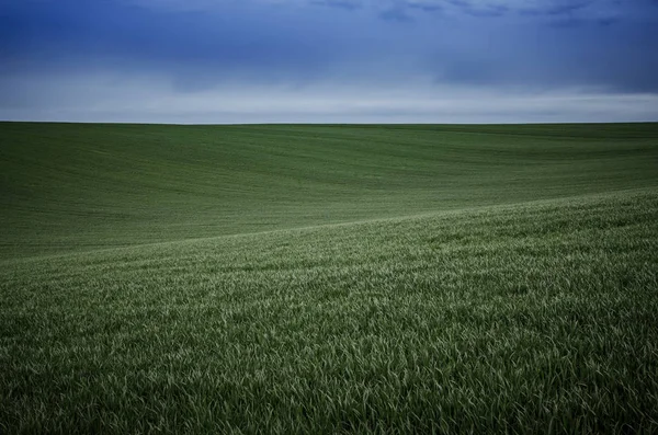 Abstract natural background — Stock Photo, Image