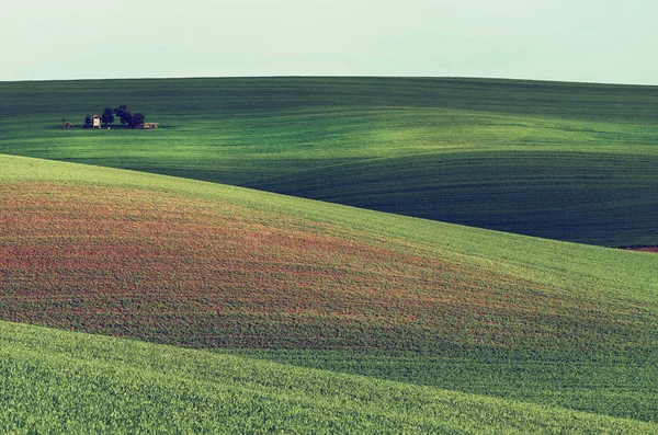 Ländliche Frühlingslandschaft — Stockfoto