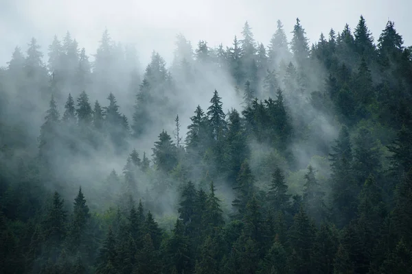 Paesaggio di montagna nebbioso — Foto Stock