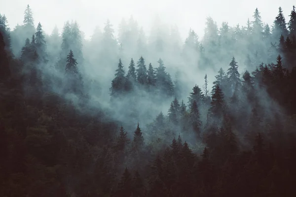 Dimmiga bergslandskap — Stockfoto