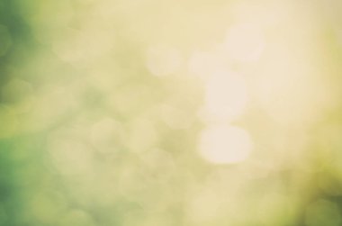 Doğal ışık bokeh