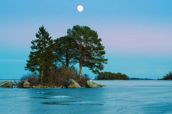 Paisagem marinha de inverno com lua — Fotografia de Stock