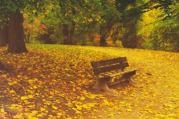 Parque soleado de otoño —  Fotos de Stock