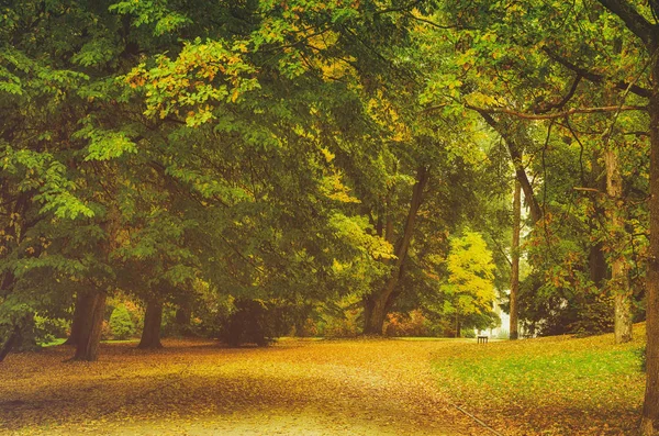 Podzimní krásný park — Stock fotografie