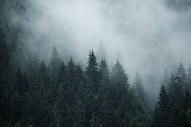 Sisli dağ manzarası