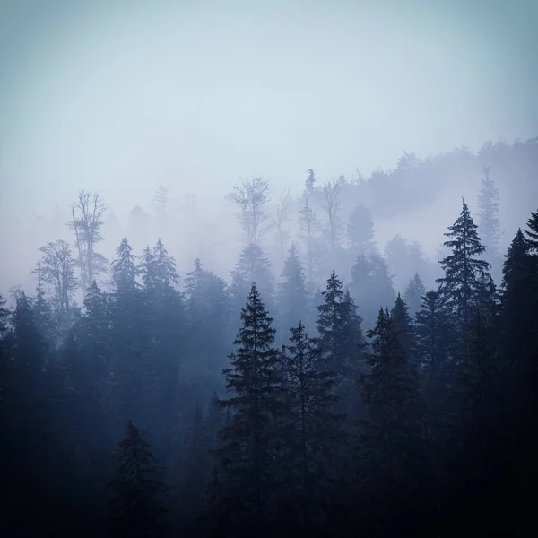 Misty mountain landscape — Stock Photo, Image