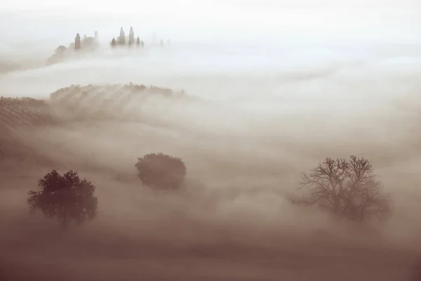 Потоплений в тумані — стокове фото