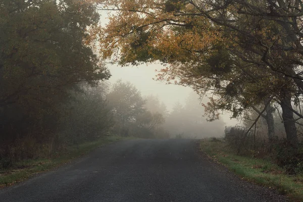 Road to the fog — Stock Photo, Image