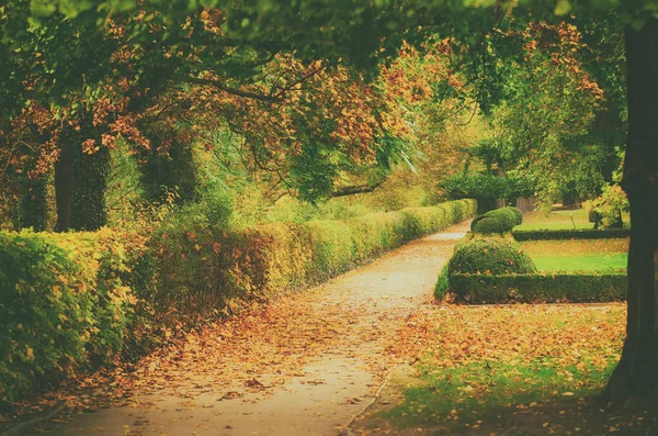 Herbstlich schöner Park — Stockfoto