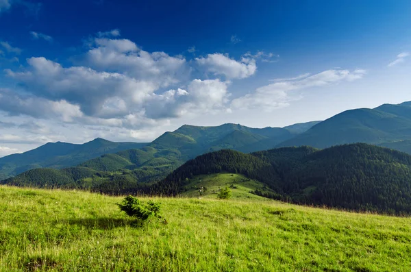 Paesaggio montano dei Carpazi — Foto Stock