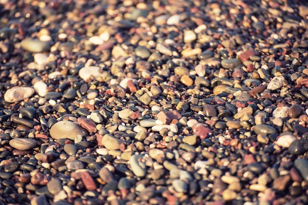 Sea pebble background — Stock Photo, Image