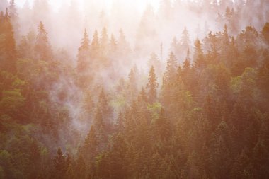 Sisli dağ manzarası