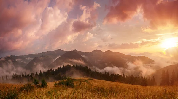 Niebla paisaje matutino — Foto de Stock