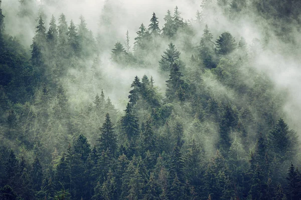 Ομίχλη ορεινό τοπίο — Φωτογραφία Αρχείου