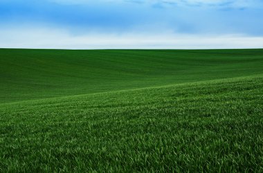 Soyut doğal arkaplan