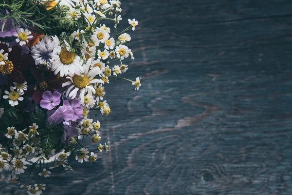 Diseño de flores de verano — Foto de Stock