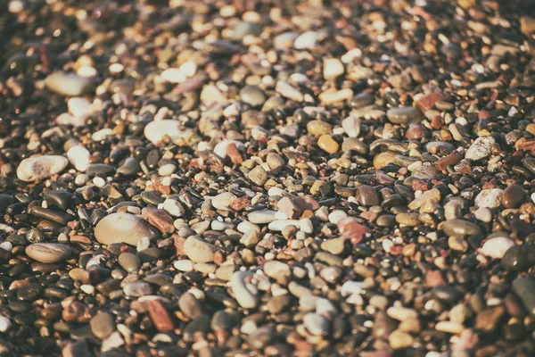 Sea pebble background — Stock Photo, Image