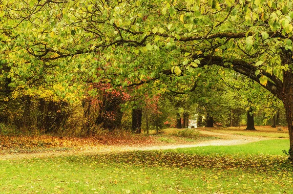 Höstens soliga park — Stockfoto