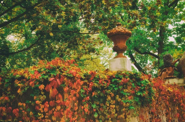 Herbstlich schöner Park — Stockfoto