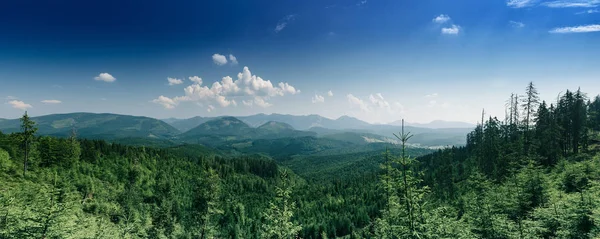 Paesaggio montano dei Carpazi — Foto Stock