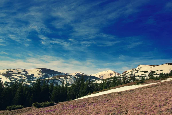 Montañas con nieve —  Fotos de Stock