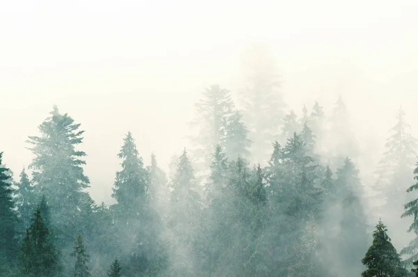 Mlhavá horská krajina — Stock fotografie