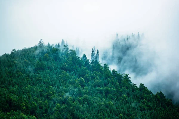 Misty paisaje de montaña — Foto de Stock