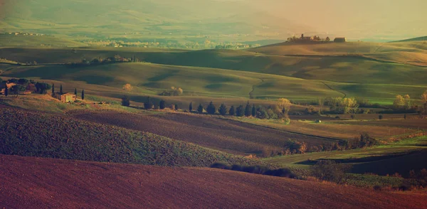 Campos ondulados en Toscana — Foto de Stock