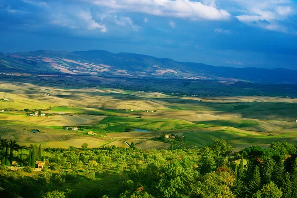 Campos ondulados en Toscana — Foto de Stock