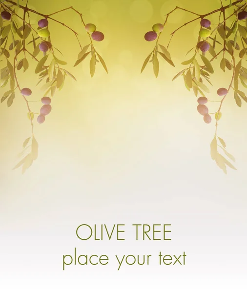 Olivová ratolest karta — Stock fotografie