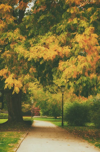 Jesienny park z aleja — Zdjęcie stockowe