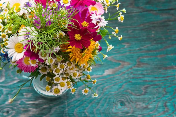 Flores de verano se burlan — Foto de Stock