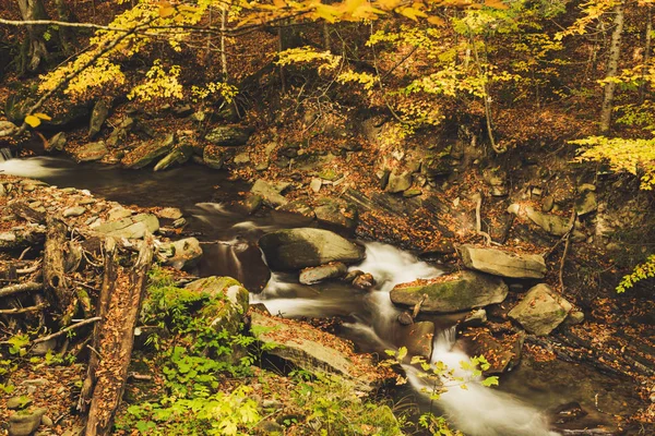 Sonbahar dağ nehri — Stok fotoğraf