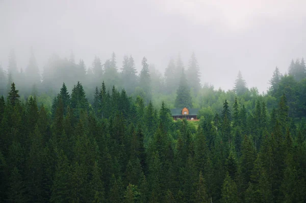 Pequeña casa en una pendiente de montaña verde — Foto de Stock