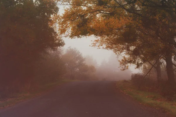 Дорога к туману — стоковое фото