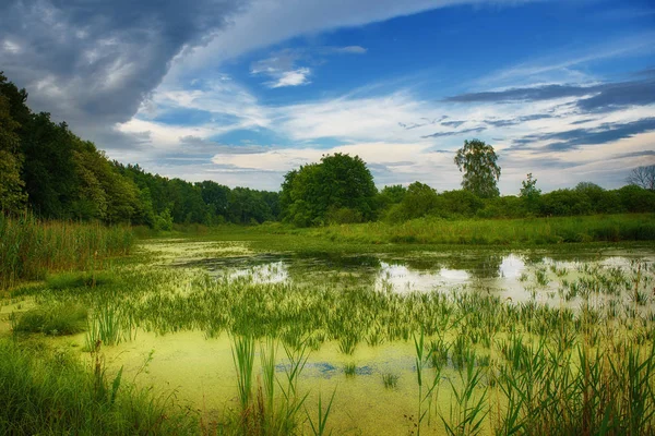 Prachtig zomers landschap — Stockfoto