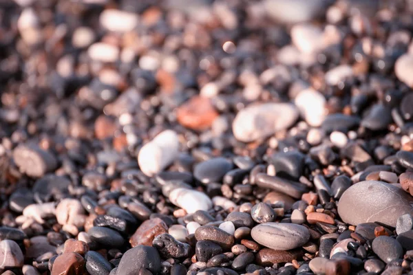 Fondo de guijarros marinos — Foto de Stock