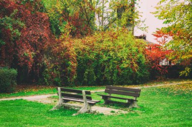 sonbahar güzel park