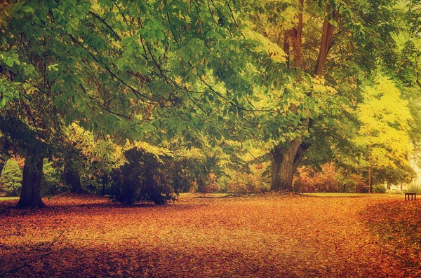 Podzimní krásný park — Stock fotografie
