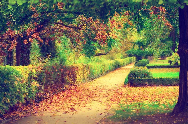 Herbstlich schöner Park — Stockfoto