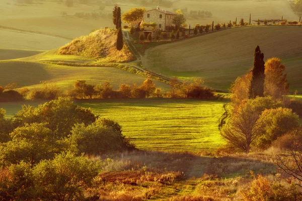 Wellenförmige Felder in der Toskana — Stockfoto