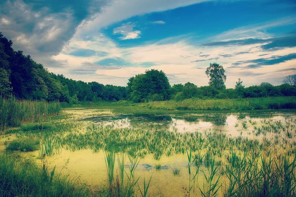 Bellissimo paesaggio estivo — Foto Stock