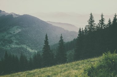 Sisli dağ manzarası