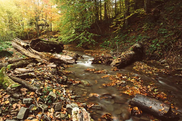 Höstens bergsflod — Stockfoto