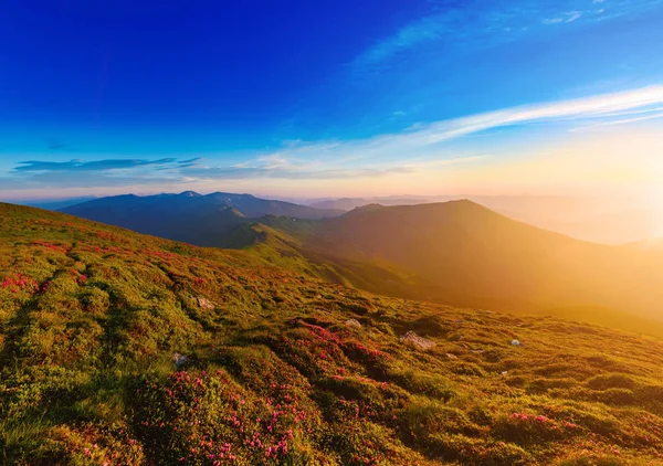 Amazing mountain sunrise — Stock Photo, Image