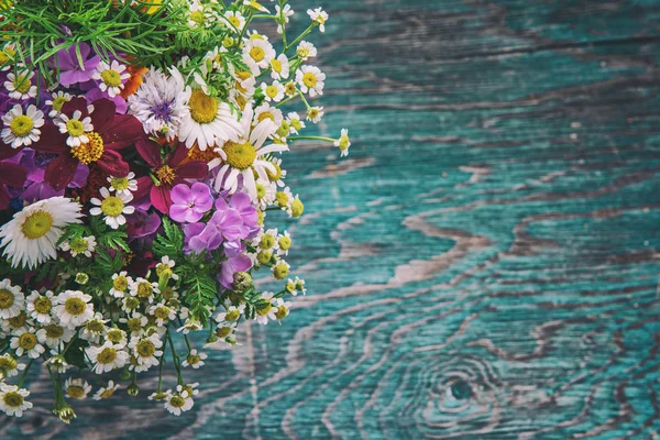 Zomer bloemen ontwerp — Stockfoto