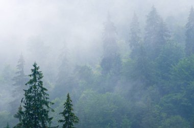 Sisli dağ manzarası