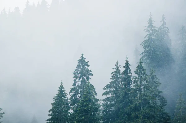 Misty mountain landscape