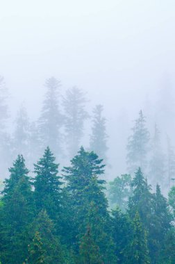 Sisli dağ manzarası